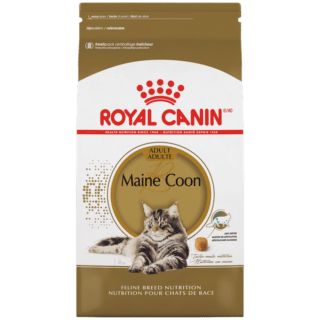 Royal Canin Maine Coon