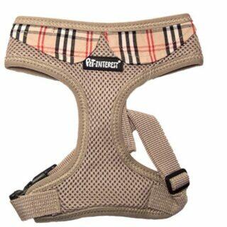 Mesh Plain color Harness