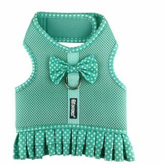 Dots Mesh Harness with Skirt