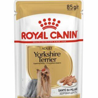 Royal Canin Dog Wet Food Yorkshire Terrier Adult 85g