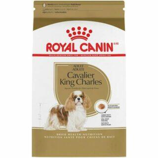 Royal Canin Cavalier Adult 1,5Kg