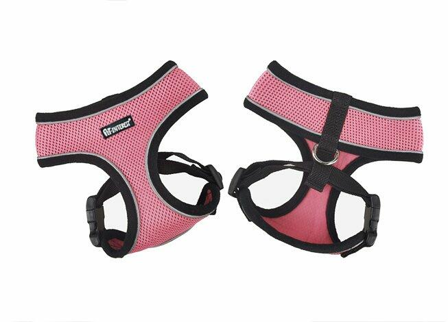 Mesh Harness with Reflective Piping