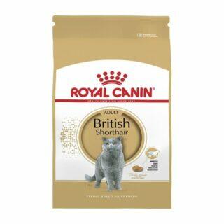 Royal Canin British Shorthair