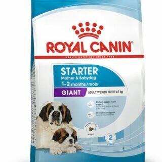 Royal Canin Giant Starter Mother & Babydog 15Kg