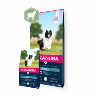 Eukanuba Adult Lamb & Rice Small & Medium