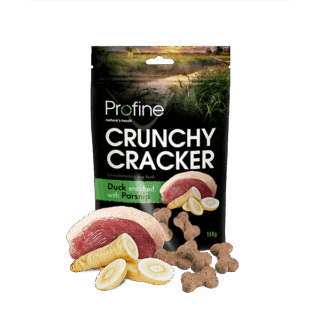 Crunchy Cracker Duck enriched with Parsnip