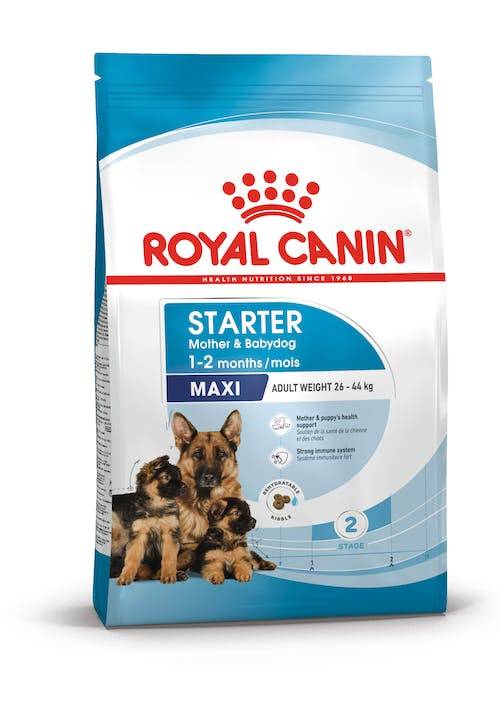 Royal Canin Maxi Starter